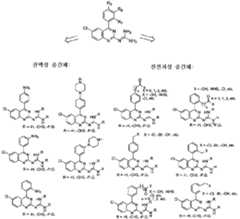 Figure 112011059052603-pct00066