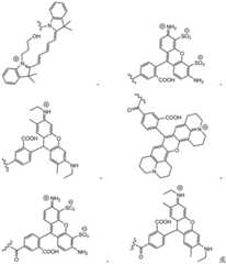 Figure BDA0003670511740003592