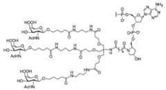 Figure 2023113843000071