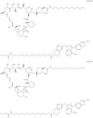 Figure US11364300-20220621-C00422