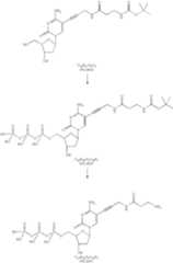 Figure US07727713-20100601-C00033