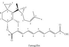 Figure US10583107-20200310-C00002