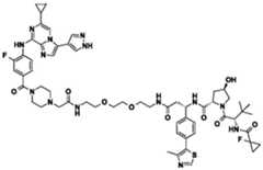 Figure BDA0002964098100002001