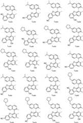 Figure FDA0001964607630000251