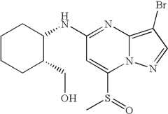Figure US07119200-20061010-C02248