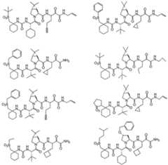 Figure imgf000310_0002