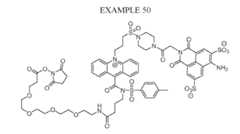 Figure imgf000096_0001