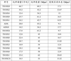 Figure BDA0002937167880000051