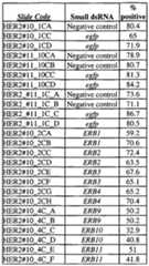 Figure imgf000073_0001