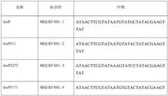 Figure BDA0002236234620000181