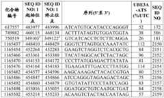 Figure BDA0003282506760001742