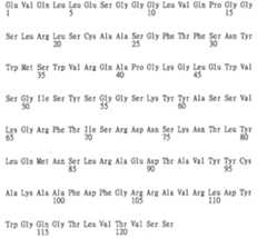 Figure 106123980-A0202-12-0141-127