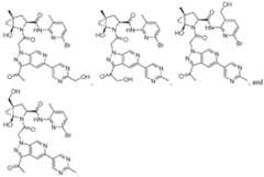 Figure imgf000134_0001