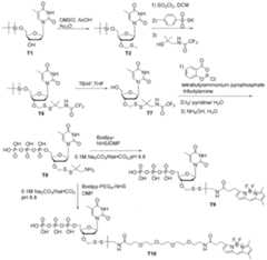 Figure imgf000571_0001