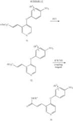 Figure US07714138-20100511-C00021