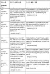 Figure BDA0004089703340001791