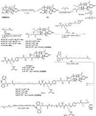 Figure BDA0002889616220003721