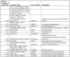 Figure imgf000069_0002