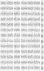 Figure IDA00002091897100491