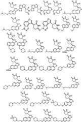 Figure FDA0003480931620000071