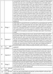 Figure imgf000053_0001