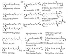Figure imgf000018_0001