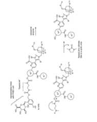 Figure imgf000099_0001