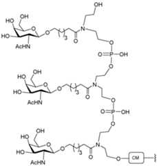 Figure imgf000305_0001