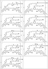 Figure BDA0003285627320001271