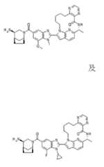 Figure 110115682-A0305-02-0693-230