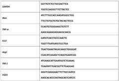 Figure BDA0003053262420000081