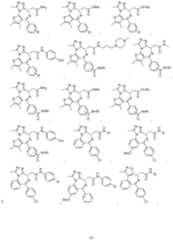 Figure imgf000099_0001