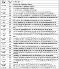 Figure PCTCN2019128686-APPB-000044