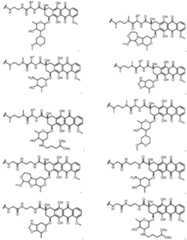 Figure imgf000029_0001