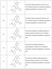 Figure imgf000031_0001