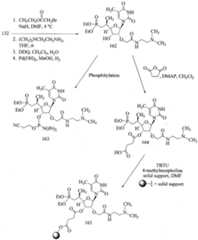 Figure imgf000141_0001