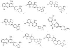 Figure imgf000073_0002