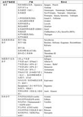 Figure BDA0002487453590000421