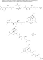 Figure US10226456-20190312-C00504