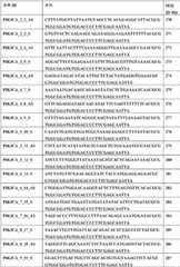 Figure BDA0000059233380000861