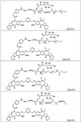 Figure BDA0003285627320000601