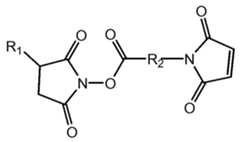 Figure imgf000028_0001