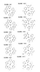 Figure G2009101683156D00461