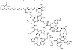 Figure imgf000557_0001