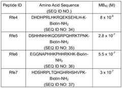 Figure imgf000053_0001