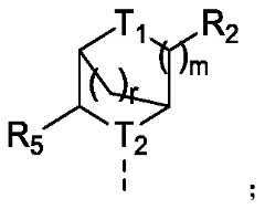Figure PCTCN2022074782-appb-100013