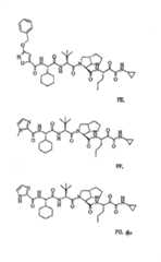 Figure G2009101493490D01501