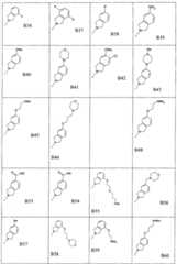 Figure FSB00001073471900021