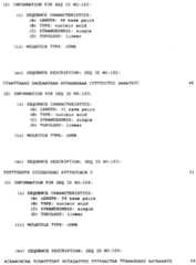 Figure imgf000185_0001