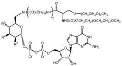 Figure imgf000110_0003